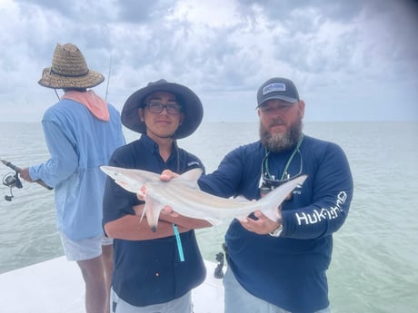 Blacktip Shark Fishing in South Padre Island, Texas