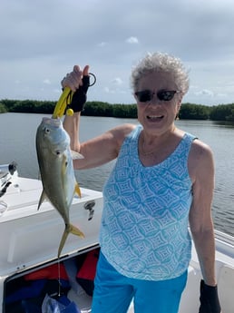 Jack Crevalle fishing in Clearwater, Florida