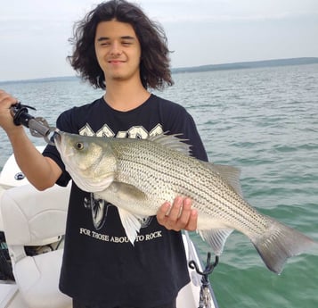 Hybrid Striped Bass Fishing in Runaway Bay, Texas