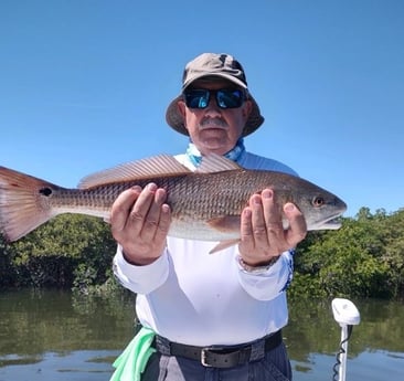 Redfish Fishing in Crystal River, Florida