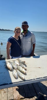 Speckled Trout / Spotted Seatrout fishing in Galveston, Texas