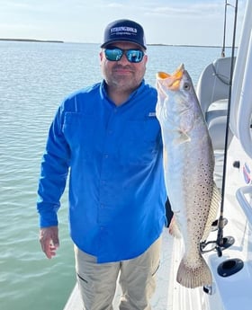 Speckled Trout / Spotted Seatrout fishing in South Padre Island, Texas