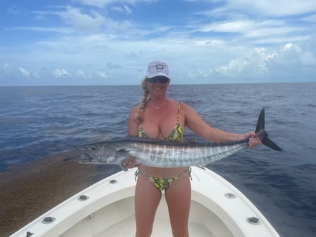 Wahoo Fishing in Tampa, Florida