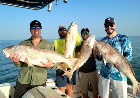 Redfish Fishing in Galveston, Texas