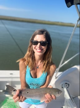 Black Drum fishing in Mount Pleasant, South Carolina