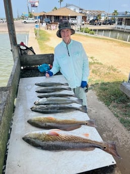 Redfish, Speckled Trout Fishing in Galveston, Texas