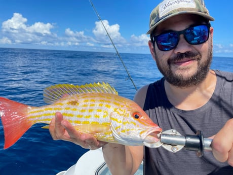 Lane Snapper fishing in St. Augustine, Florida