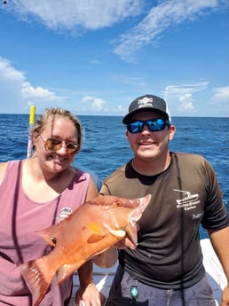 Hogfish fishing in Clearwater, Florida