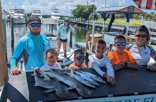 Bonnethead Shark, Spanish Mackerel fishing in Tampa, Florida