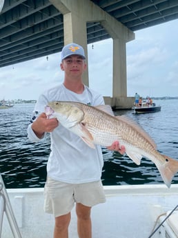 Redfish fishing in Orange Beach, Alabama