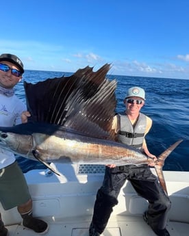 Sailfish Fishing in Key Largo, Florida