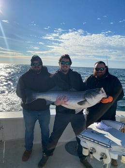 Striped Bass Fishing in Reedville, Virginia