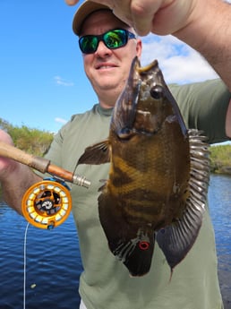 Fishing in Fort Lauderdale, Florida