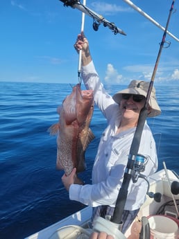 Red Grouper fishing in Clearwater, Florida