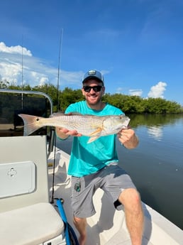 Redfish Fishing in Naples, Florida