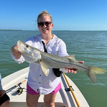 Hammerhead Shark fishing in Islamorada, Florida