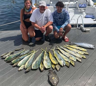 Little Tunny / False Albacore, Mahi Mahi / Dorado fishing in Key West, Florida