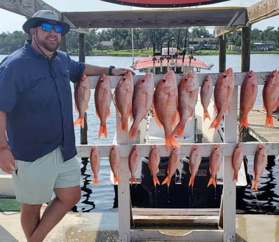 Red Snapper fishing in Panama City, Florida