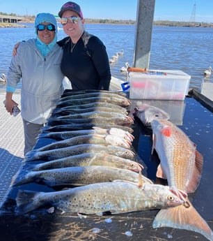 Redfish, Speckled Trout / Spotted Seatrout Fishing in Galveston, Texas