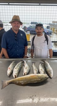 Redfish, Speckled Trout / Spotted Seatrout fishing in Matagorda, Texas