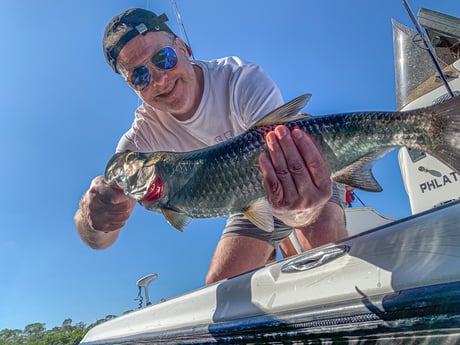 Tarpon Fishing in Jupiter, Florida