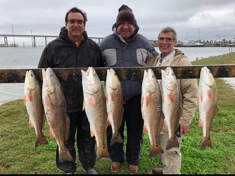 Redfish Fishing in Aransas Pass, Texas