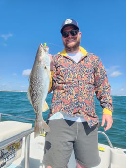 Weakfish Fishing in Trails End, North Carolina