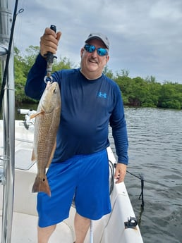 Redfish fishing in St. Petersburg, Florida