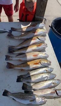 Redfish, Speckled Trout / Spotted Seatrout fishing in Aransas Pass, Texas