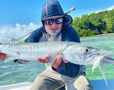 Barracuda fishing in Tavernier, Florida