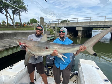 Blacktip Shark fishing in New Smyrna Beach, Florida