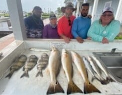 Redfish, Sheepshead, Speckled Trout / Spotted Seatrout fishing in Galveston, Texas