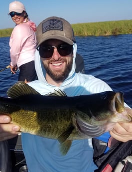 Largemouth Bass fishing in Fort Lauderdale, Florida