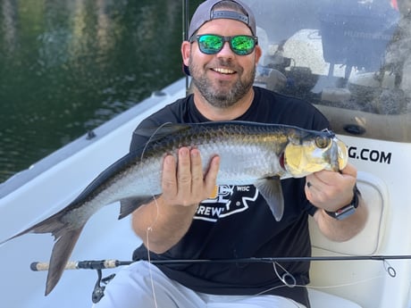 Tarpon Fishing in Jupiter, Florida