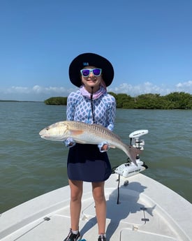 Redfish fishing in Fort Myers, Florida