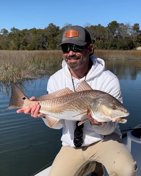 Redfish fishing in Hilton Head Island, South Carolina