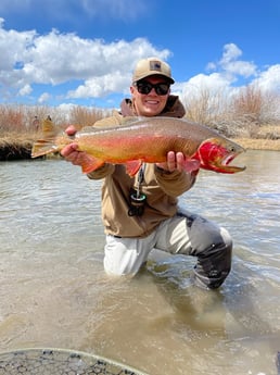 Cutthroat Trout fishing in Deer Lodge, Montana