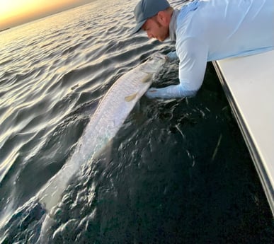 Tarpon Fishing in Key Largo, Florida, USA