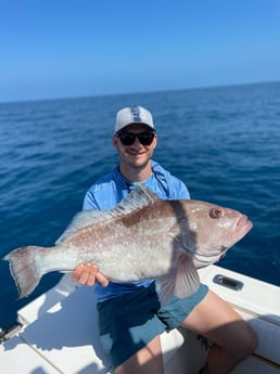 Red Grouper fishing in Sarasota, Florida