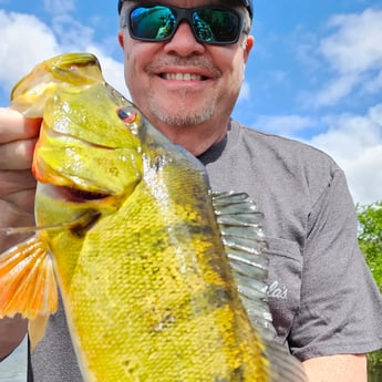 Fishing in Fort Lauderdale, Florida