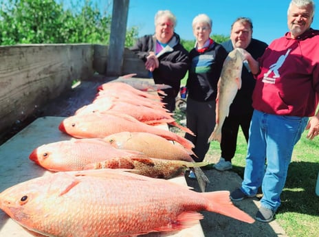 Red Grouper, Red Snapper, Speckled Trout / Spotted Seatrout Fishing in South Padre Island, Texas