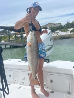 Redfish Fishing in Orange Beach, Alabama