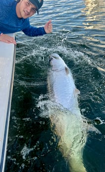 Tarpon Fishing in Miami Beach, Florida