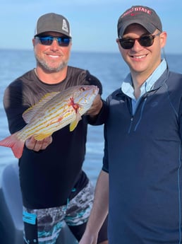 Lane Snapper fishing in Clearwater, Florida