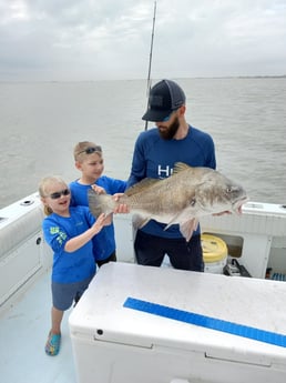 Black Drum fishing in Galveston, Texas