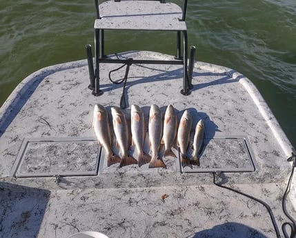 Redfish, Speckled Trout / Spotted Seatrout Fishing in South Padre Island, Texas