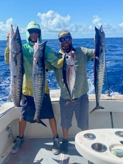 Barracuda, Blackfin Tuna, Wahoo Fishing in Key Largo, Florida