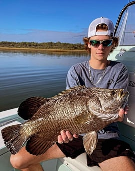 Tripletail fishing in St. Augustine, Florida