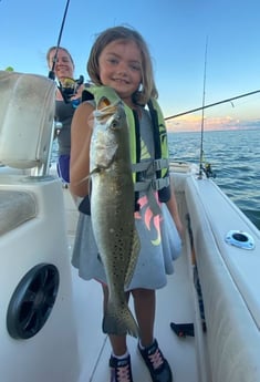 Speckled Trout / Spotted Seatrout fishing in Galveston, Texas