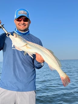 Speckled Trout / Spotted Seatrout fishing in Corpus Christi, Texas